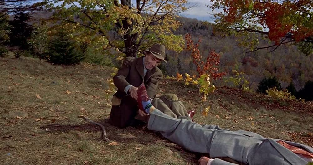 ハリーの災難の画像