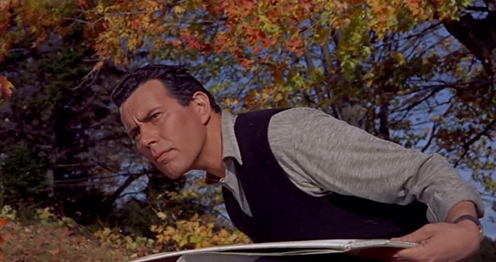 ハリーの災難の画像