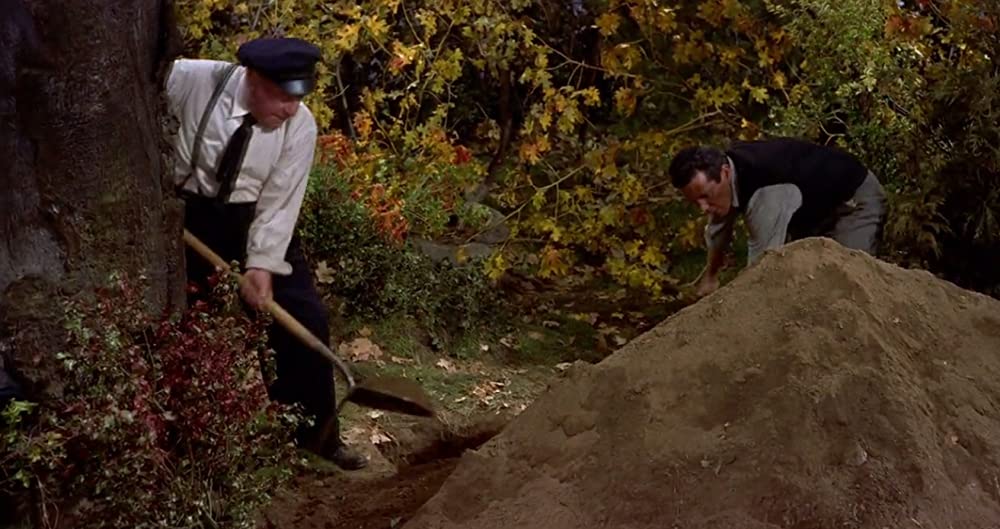 ハリーの災難の画像