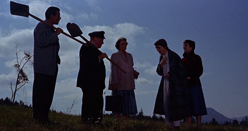 ハリーの災難の画像