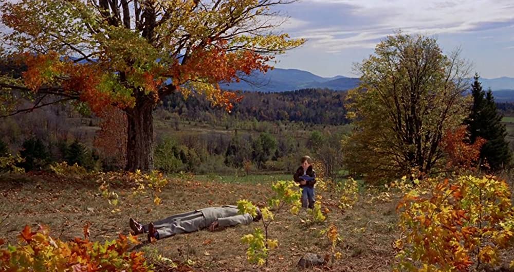 ハリーの災難の画像