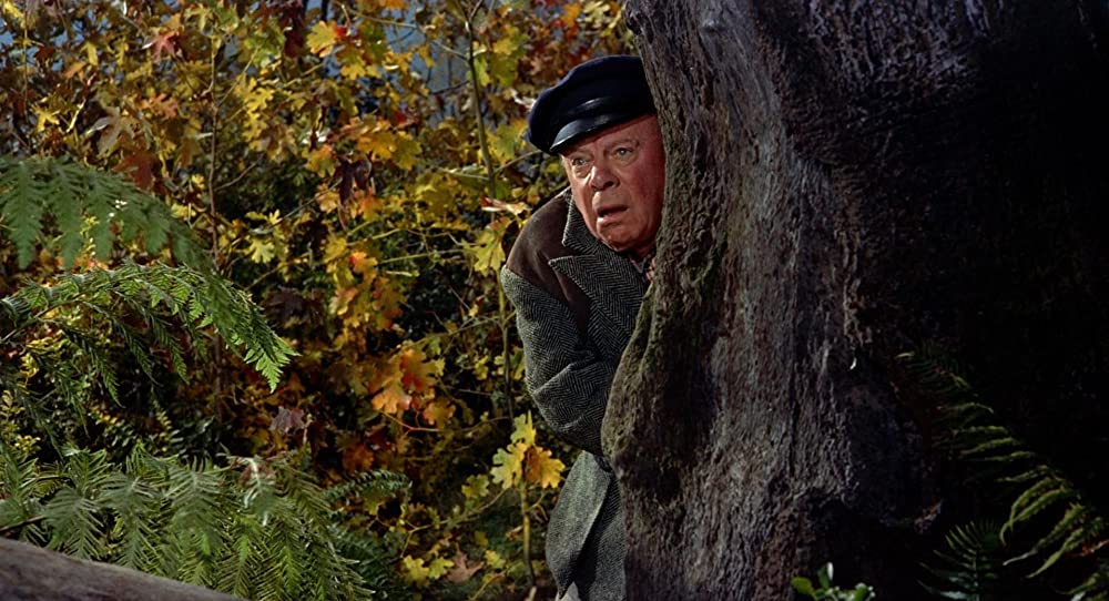 ハリーの災難の画像