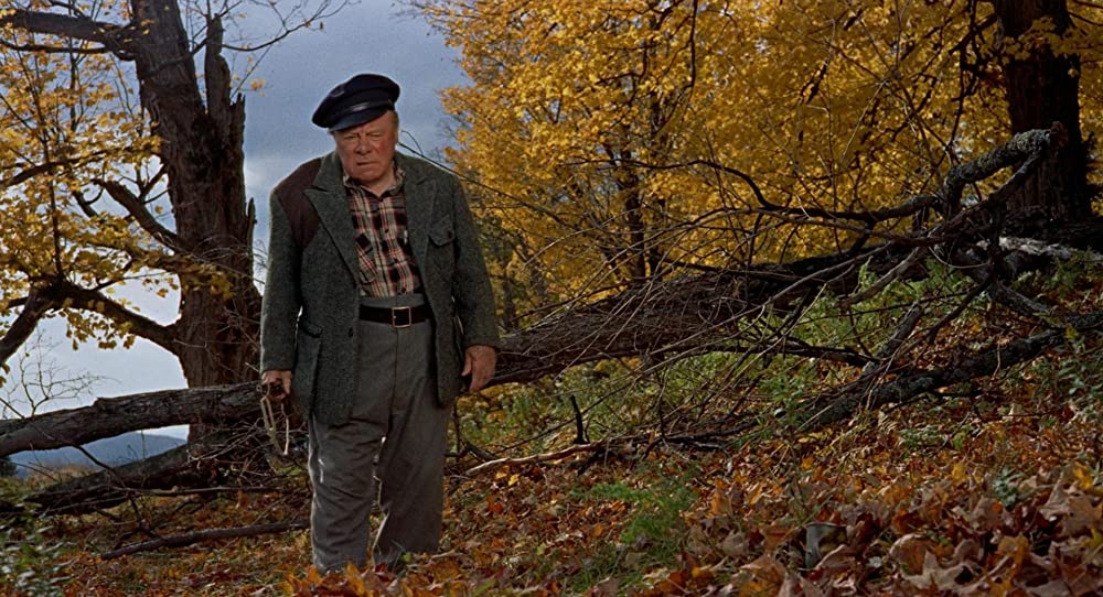 ハリーの災難の画像