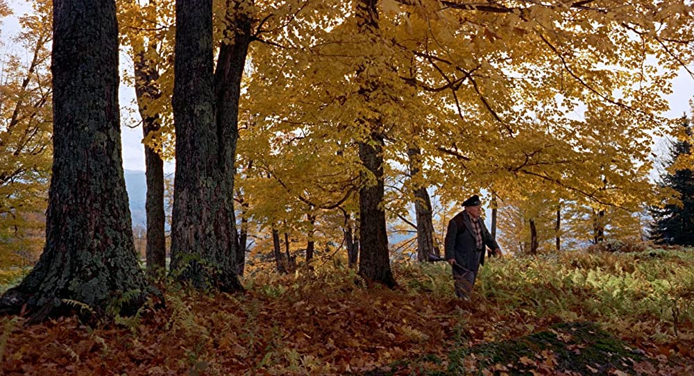 ハリーの災難の画像