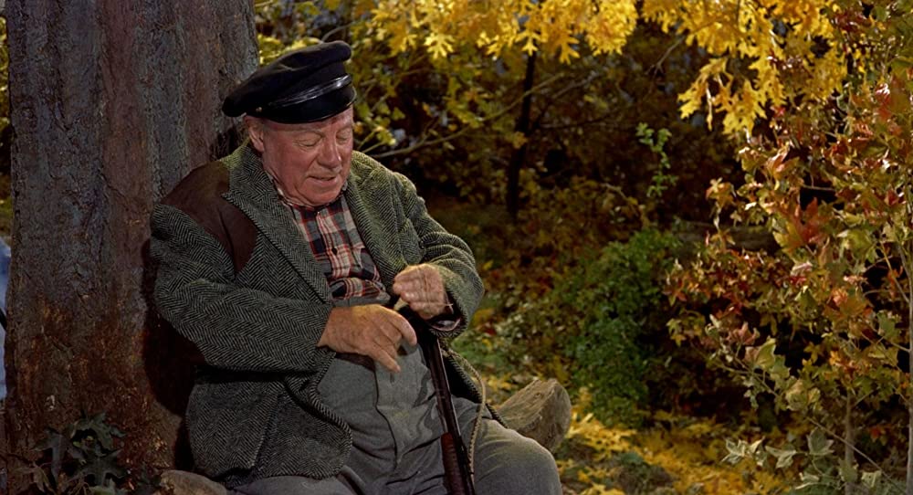 ハリーの災難の画像