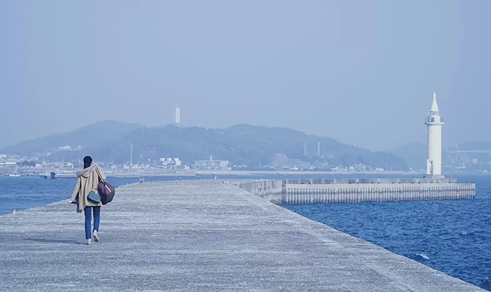 嘘を愛する女の画像