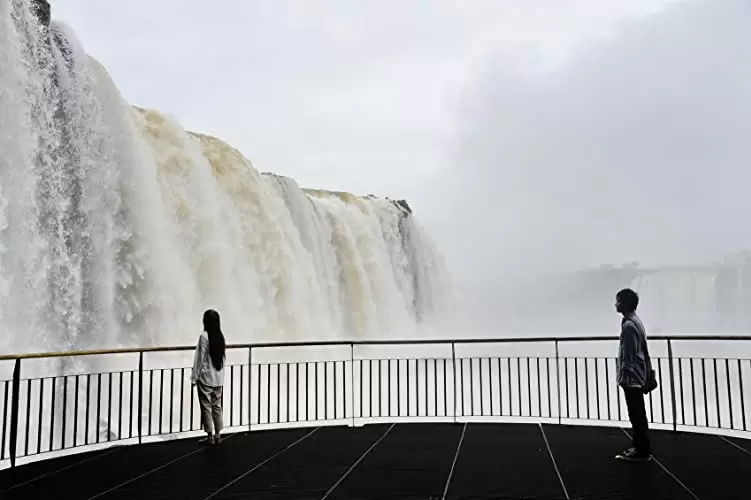 世界から猫が消えたならの画像