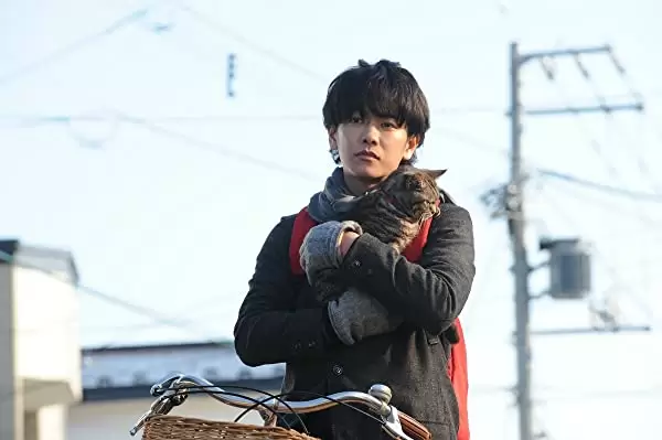 世界から猫が消えたならの画像