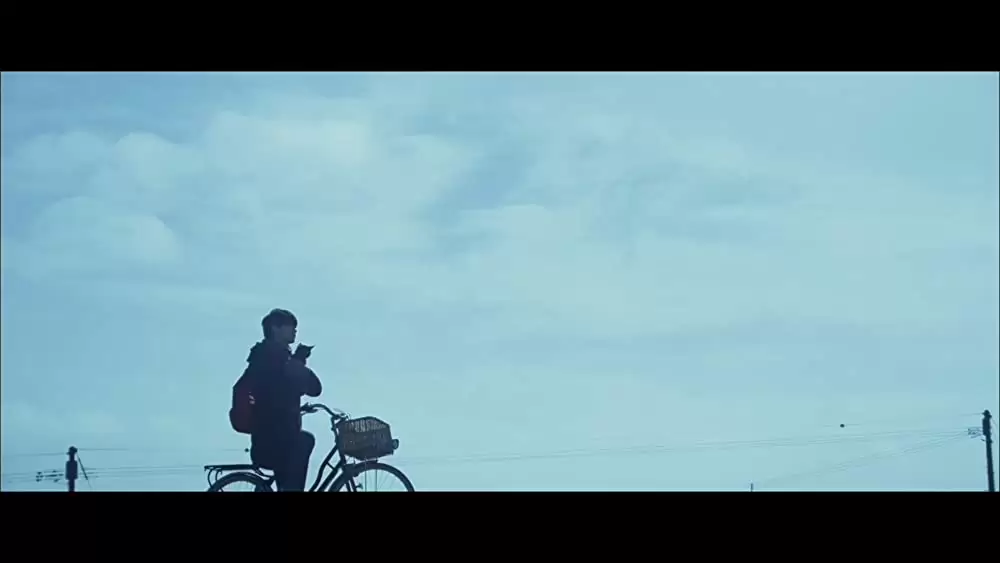 世界から猫が消えたならの画像