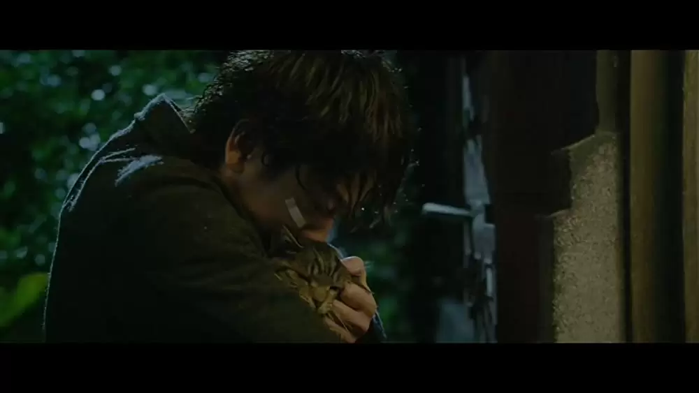 世界から猫が消えたならの画像