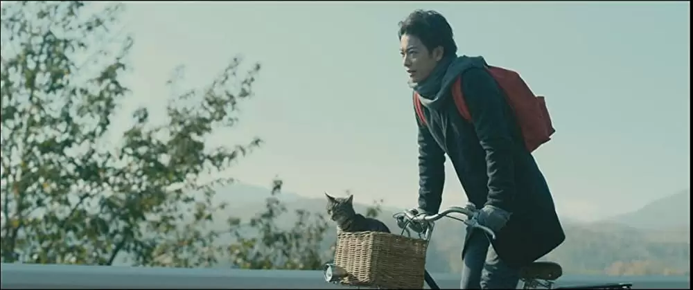 世界から猫が消えたならの画像