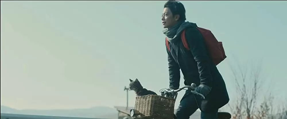 世界から猫が消えたならの画像