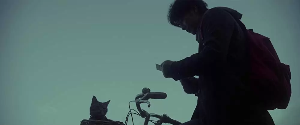 世界から猫が消えたならの画像