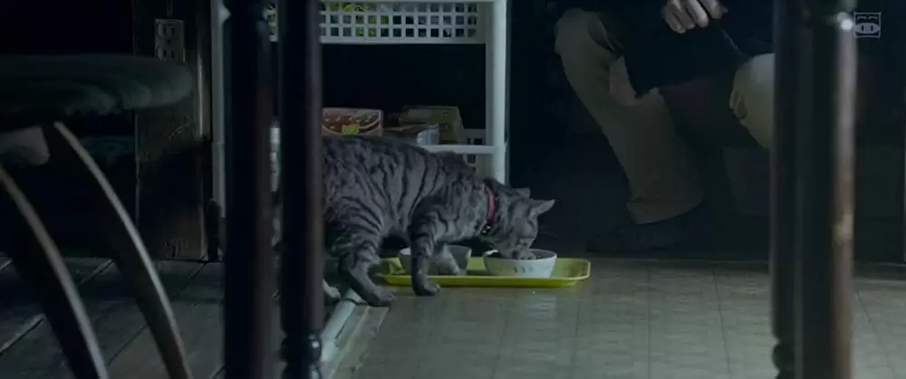 世界から猫が消えたならの画像