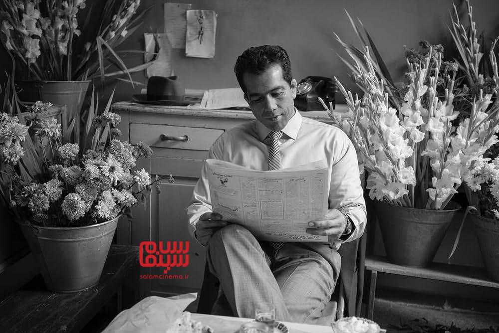 ゴレムレザー・タフティの画像