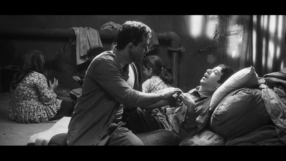 ゴレムレザー・タフティの画像