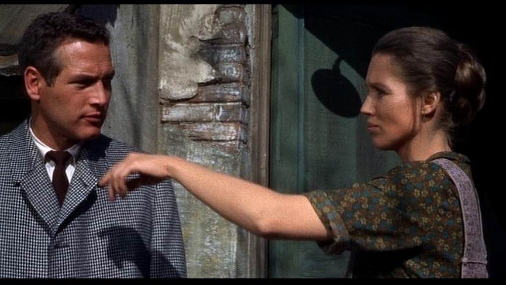 「引き裂かれたカーテン」の画像