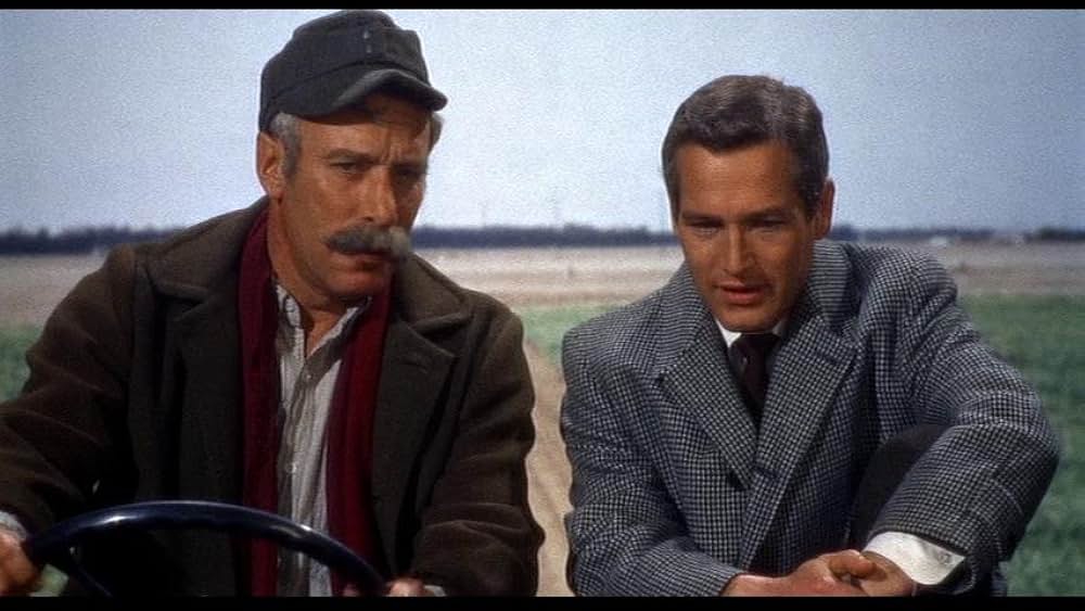 「引き裂かれたカーテン」の画像