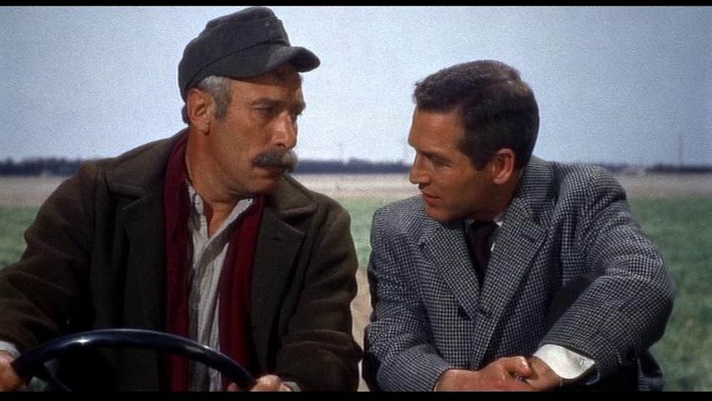 「引き裂かれたカーテン」の画像