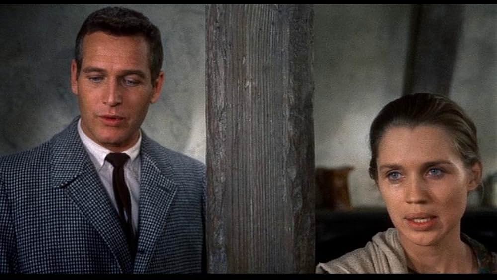 「引き裂かれたカーテン」の画像