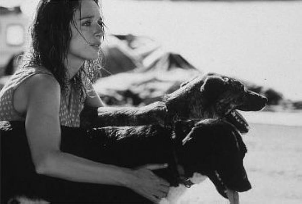 グラツィアの島の画像