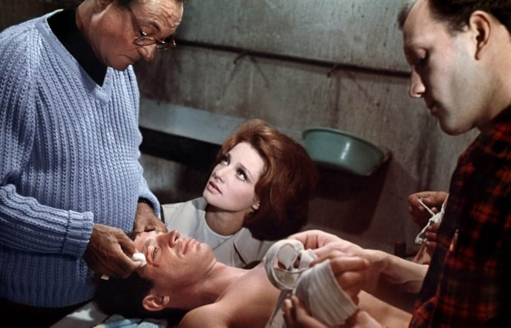 フェルショー家の長男の画像