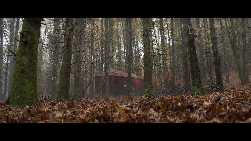 Judy & Punch（原題）の画像