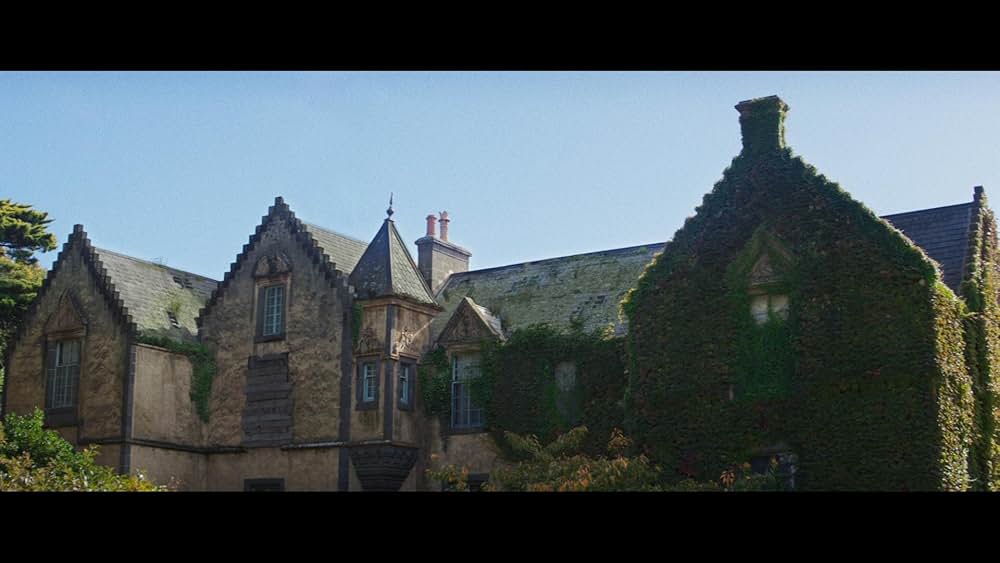 Judy & Punch（原題）の画像