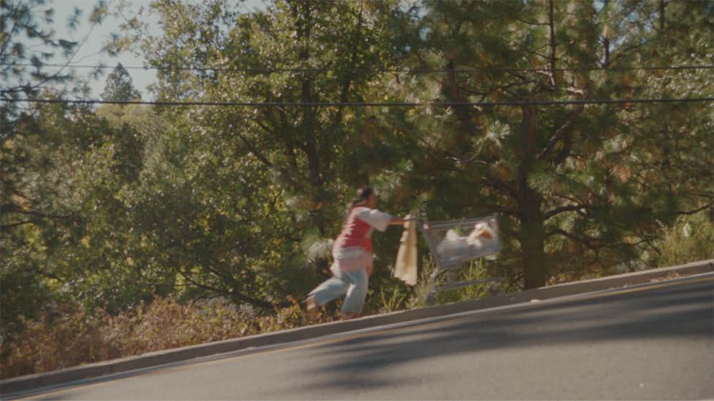 スターチの画像