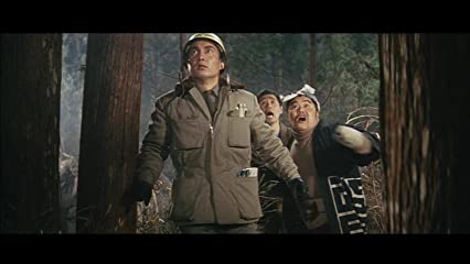 大怪獣空中戦 ガメラ対ギャオスの画像