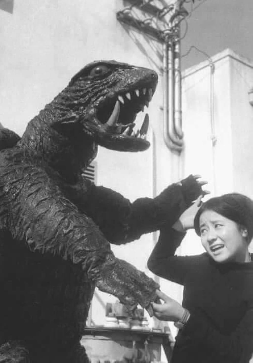 大怪獣空中戦 ガメラ対ギャオスの画像