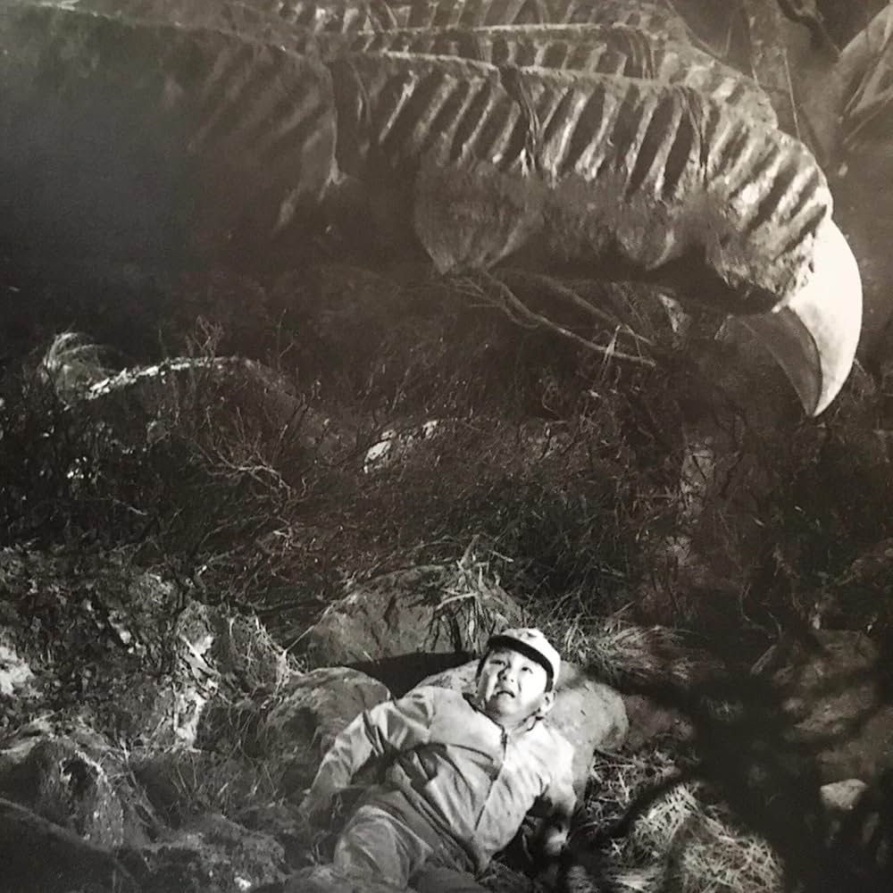 大怪獣空中戦 ガメラ対ギャオスの画像