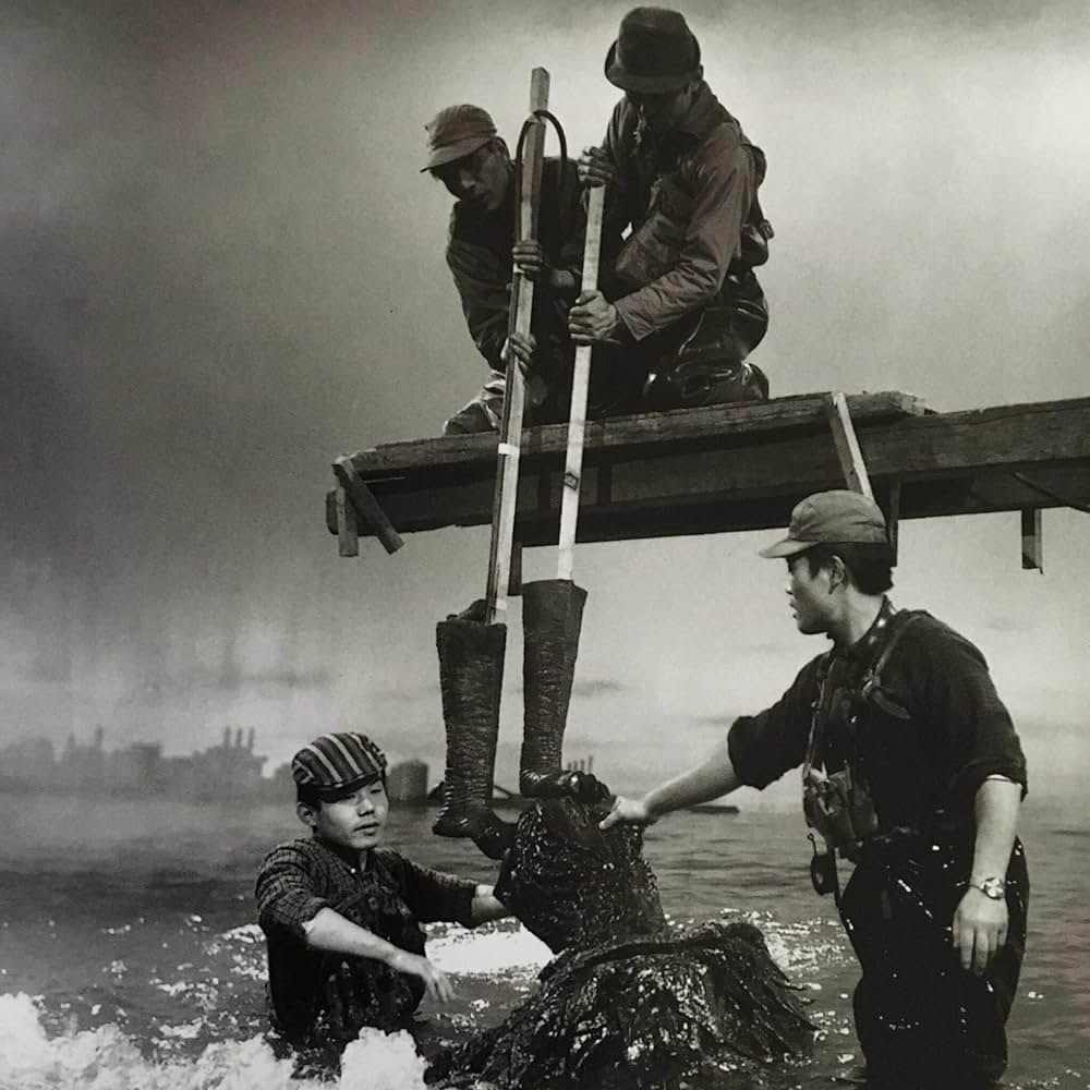 大怪獣空中戦 ガメラ対ギャオスの画像