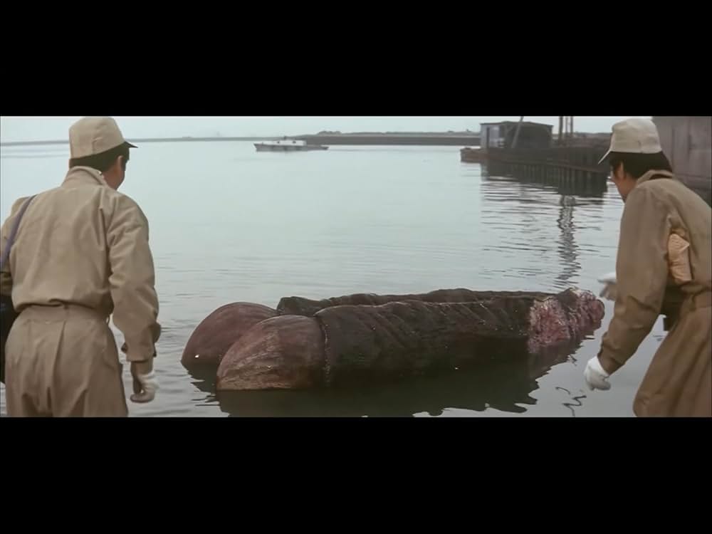 大怪獣空中戦 ガメラ対ギャオスの画像