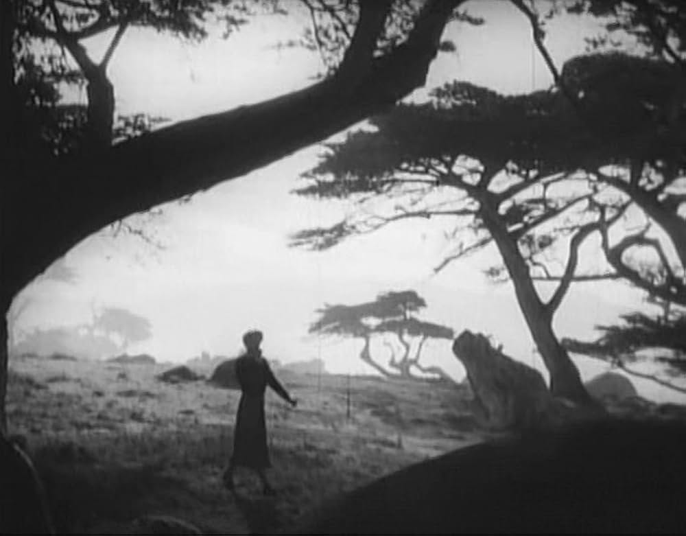 The Second Woman（原題）の画像