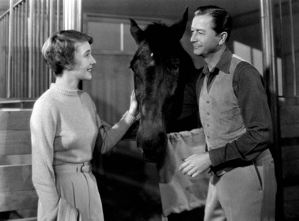 The Second Woman（原題）の画像