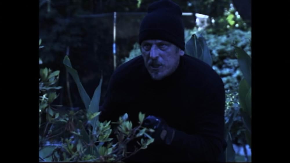 VHYes（原題）の画像