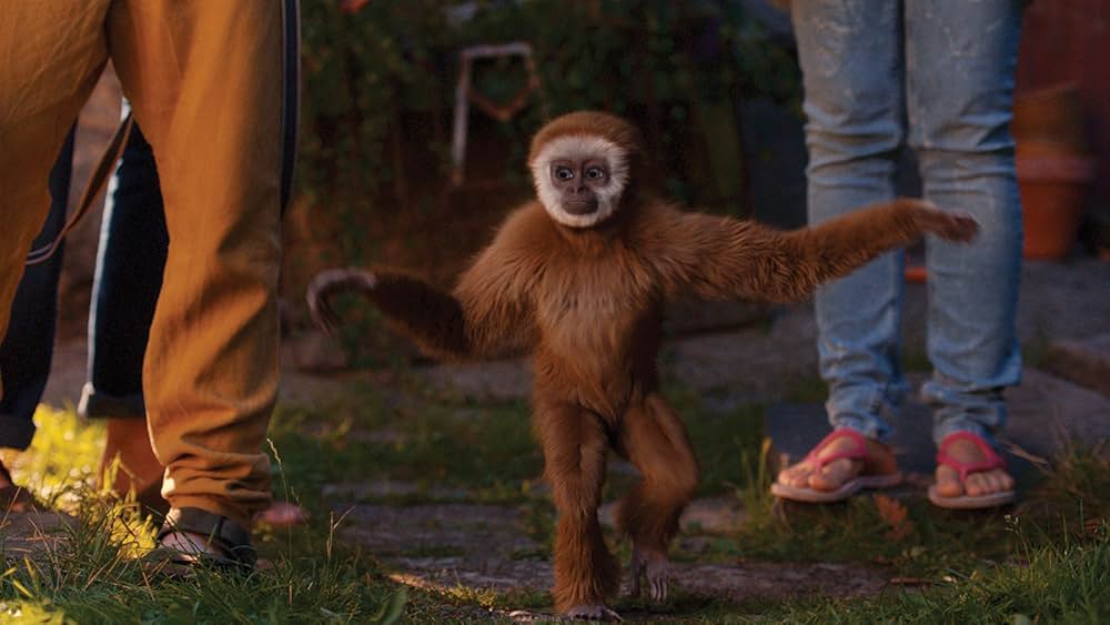 Monky（原題）の写真