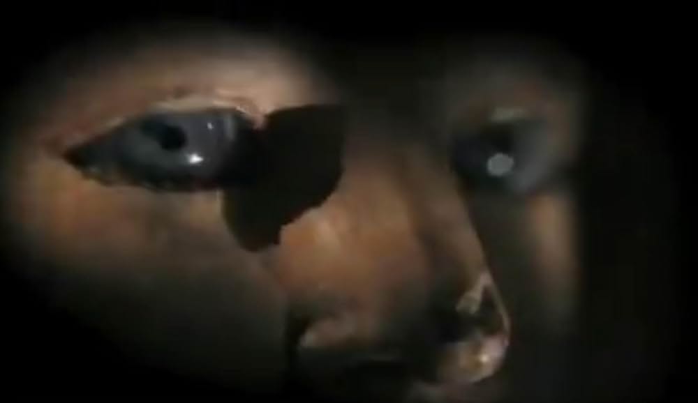 ワンダーウッドの画像