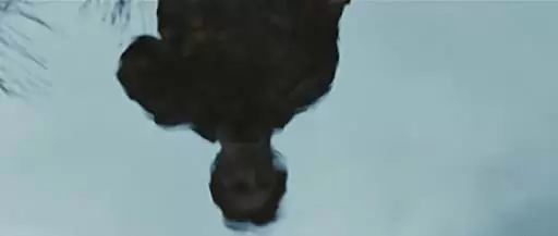 ハンターの画像