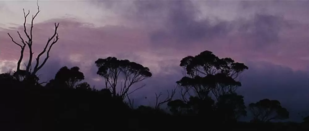 ハンターの画像