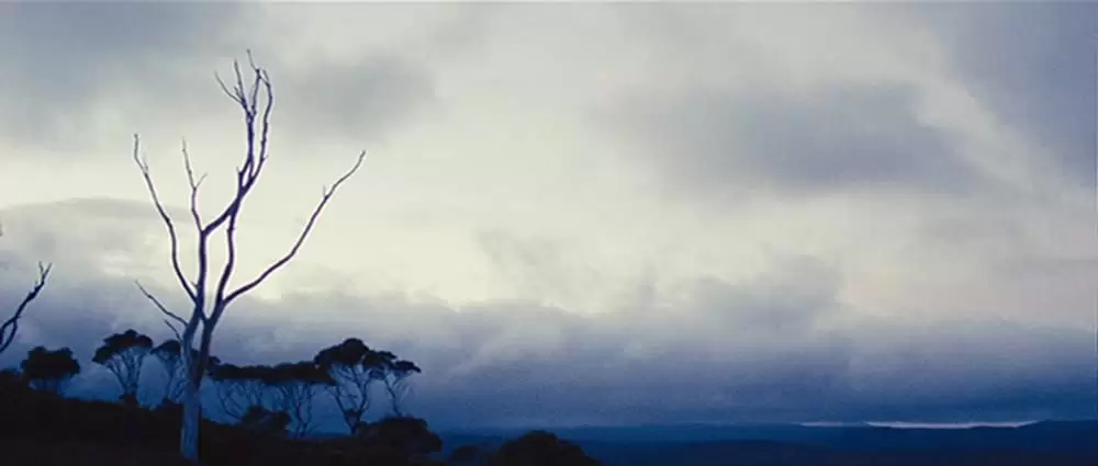 ハンターの画像