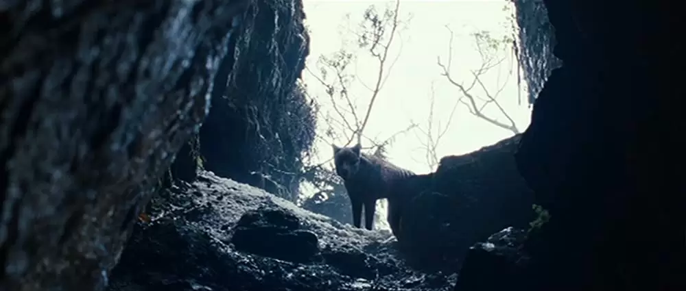 ハンターの画像