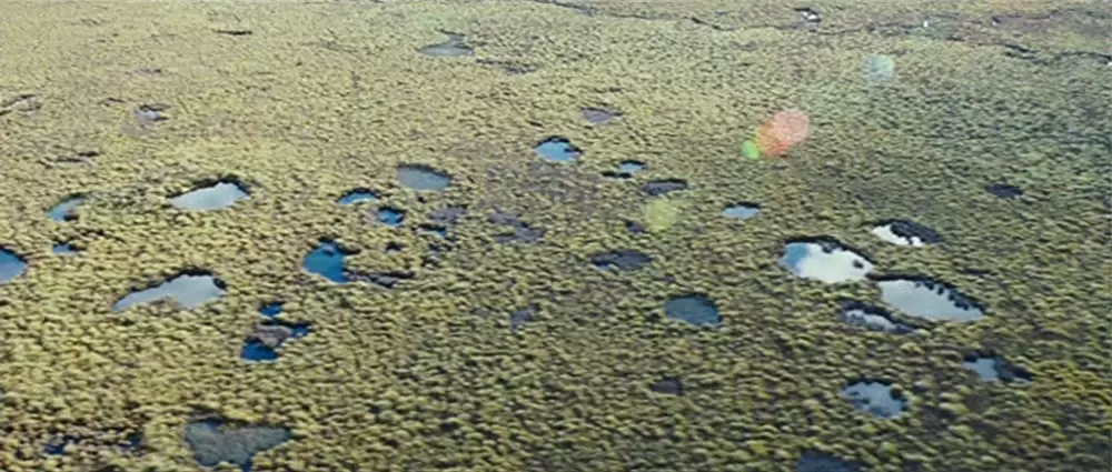 ハンターの画像