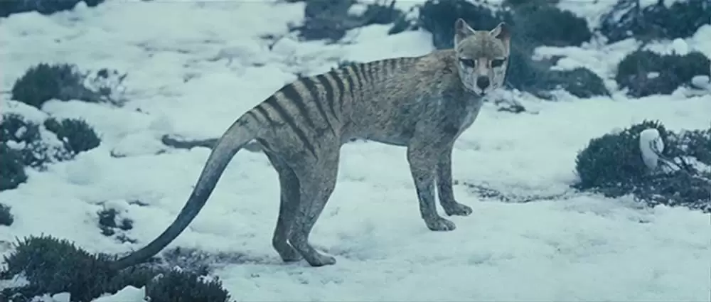 ハンターの画像