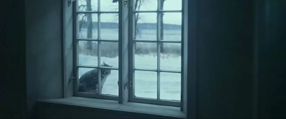 ドラゴン・タトゥーの女の画像