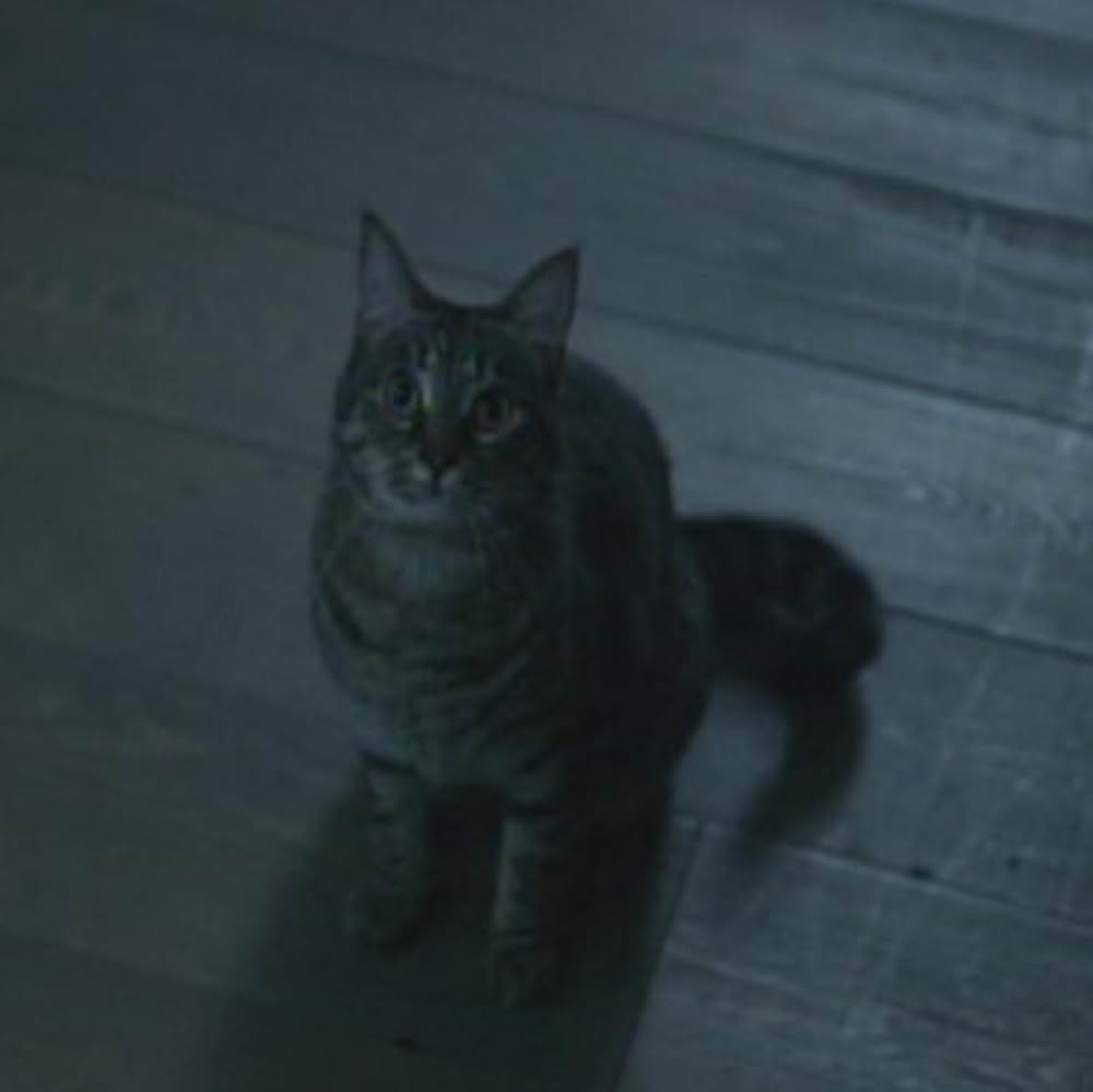 ドラゴン・タトゥーの女の画像