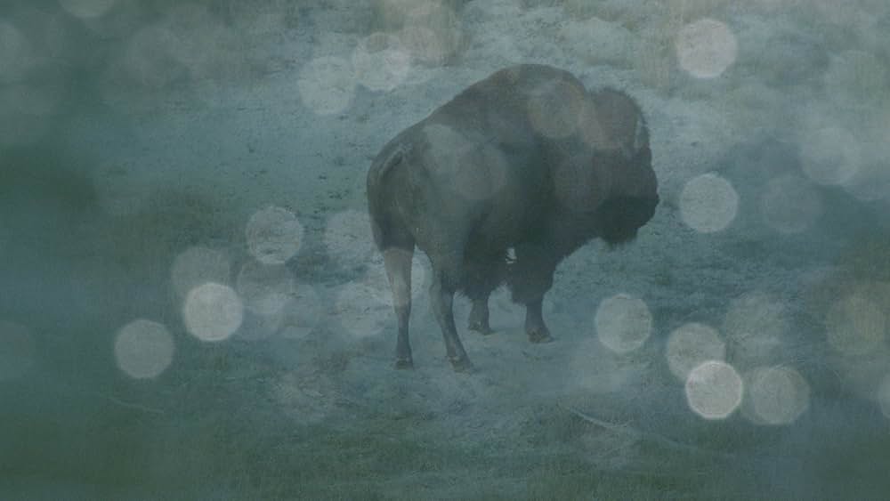 Becoming Animal（原題）の画像