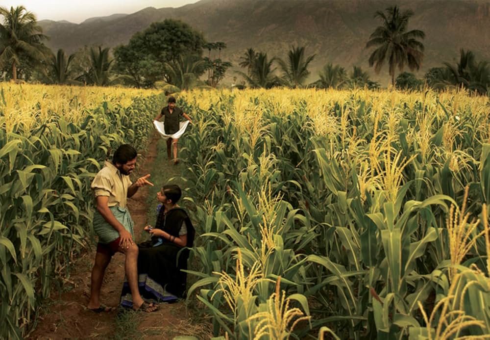 パルティヴィーランの画像