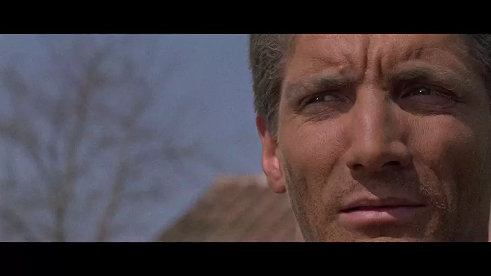 真昼の用心棒の画像